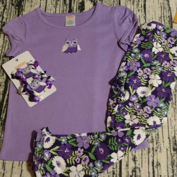 Gymboree Whooo's Cute 4T Leggings Owl Shirt Hair Curly Clips Outfit NWT - Picture 3 of 3